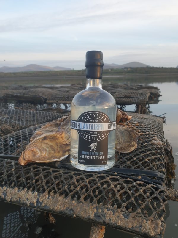 Menai Oyster Gin