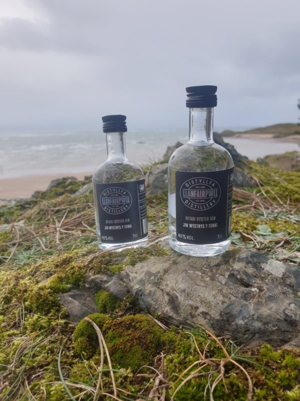Menai Oyster Gin Miniatures Mix